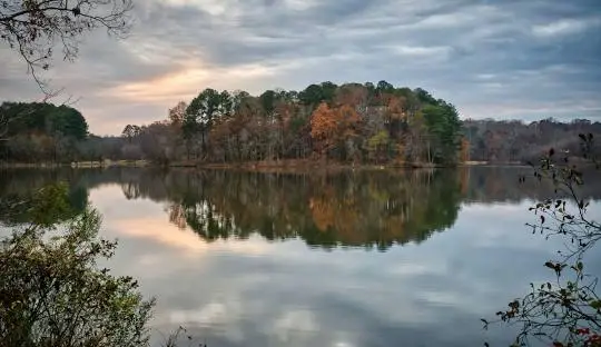 Construction Contractor - Garner, NC